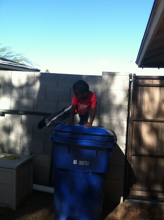 Mommy Ezra is stuck on top of the puh-cycling bin.