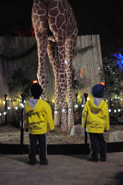 Talking to the Giraffe, the boys loved him and he really talked to them.  We went back at the end of our night and he remembered them.