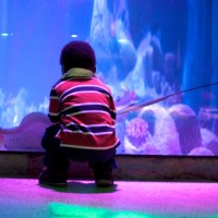 Ezra really into the sting rays here